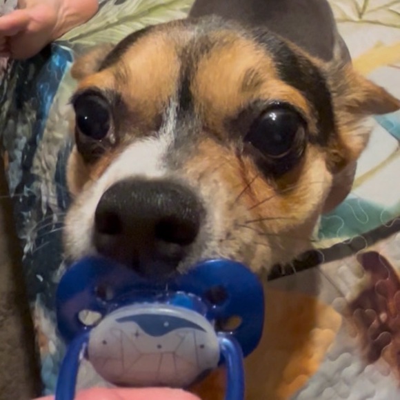 Thank you ❤️ - Picture 12 of 12